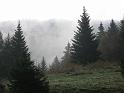 Ecouges 008